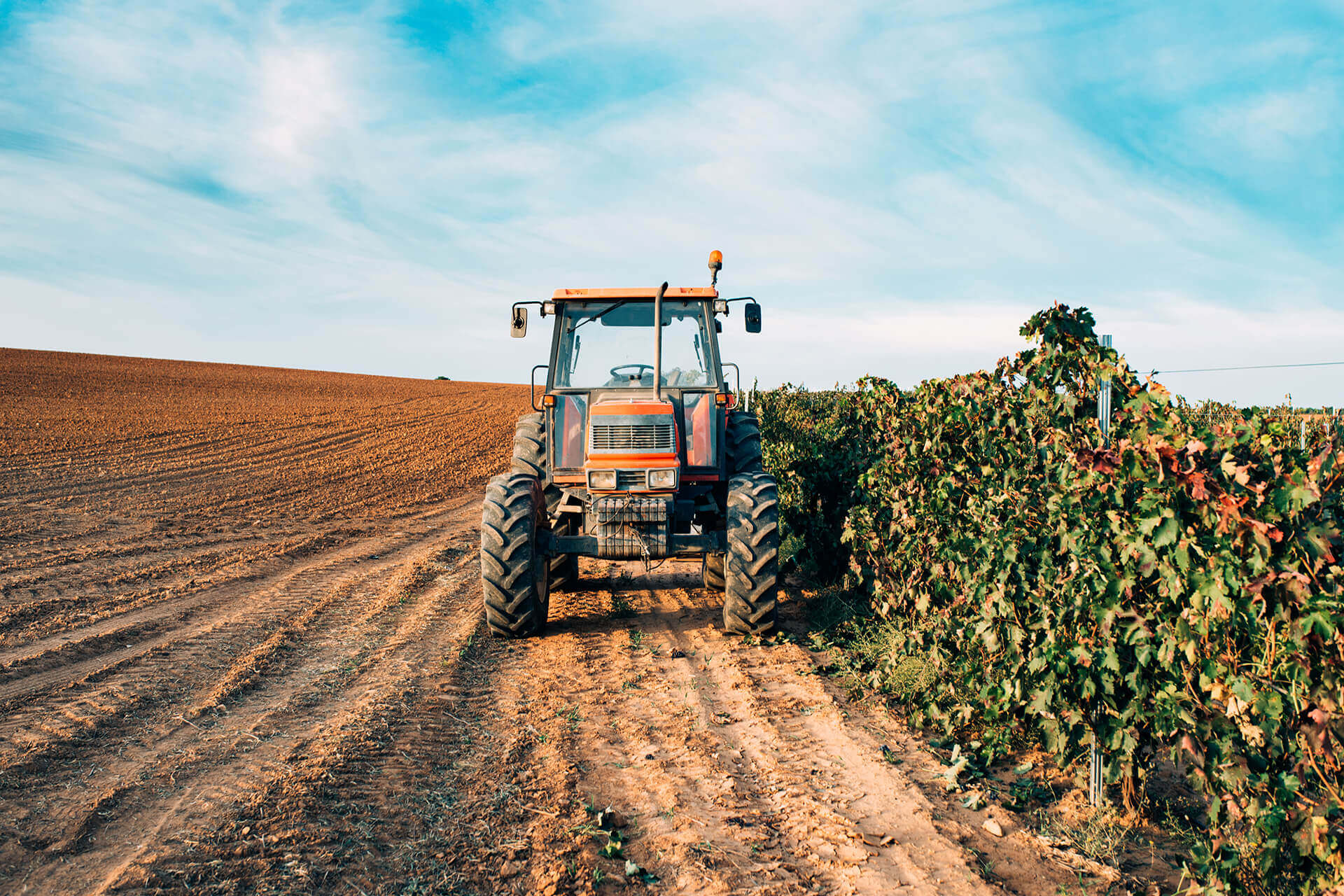 Comment choisir une machine agricole rentable pour démarrer un business en Afrique avec un budget limité